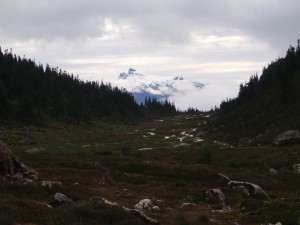 Brandywine Meadow