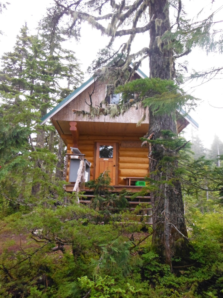 Mt. Troubridge Hut