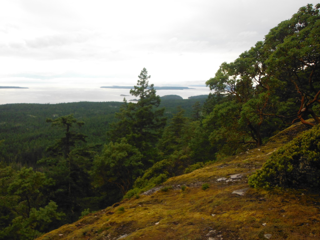 View from Manzanita Hut