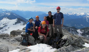 summit of saxifrage