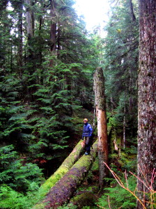 Phil on the search for caves.