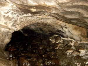 Scallop Cave. Photo credit: Felix Martinez