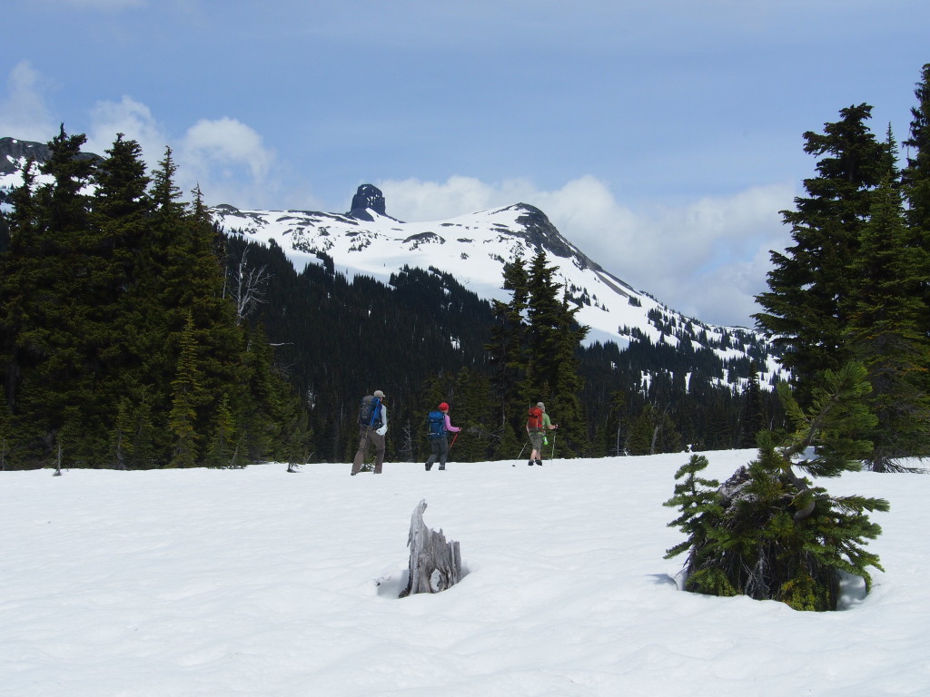 Snowy Meadows forever. (Rouven Volkmann)