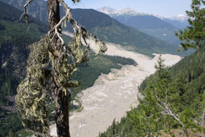 Mount Meager landslide 02