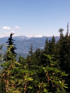 View of Black Tusk and Garibaldi from Trail 02