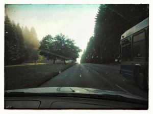 Driving to Deep Cove