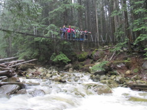 The Lower Lynn Loop group 