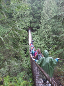 Suspension Bridge