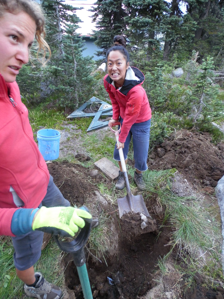 Not happy about digging the non "decomposted poop"