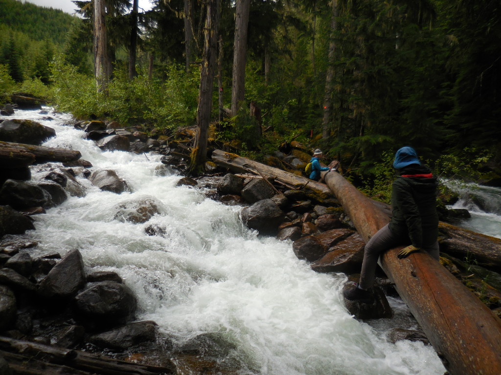 Taniya and Erica at the one-log bridge. Photo: Kasia Celler