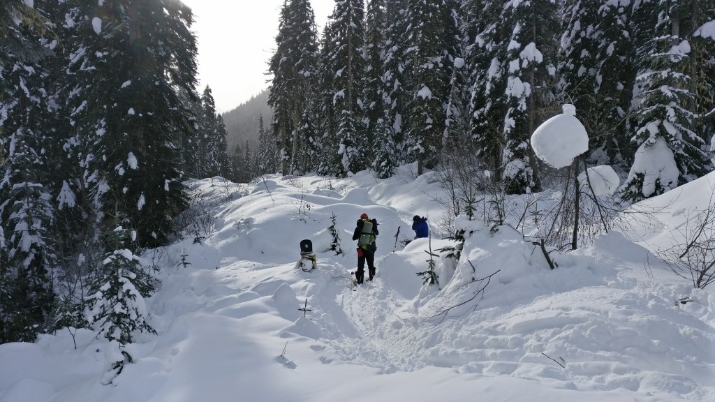 Abandoned snowboard
