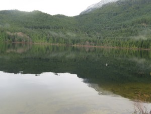 IMG_3004 - Copy