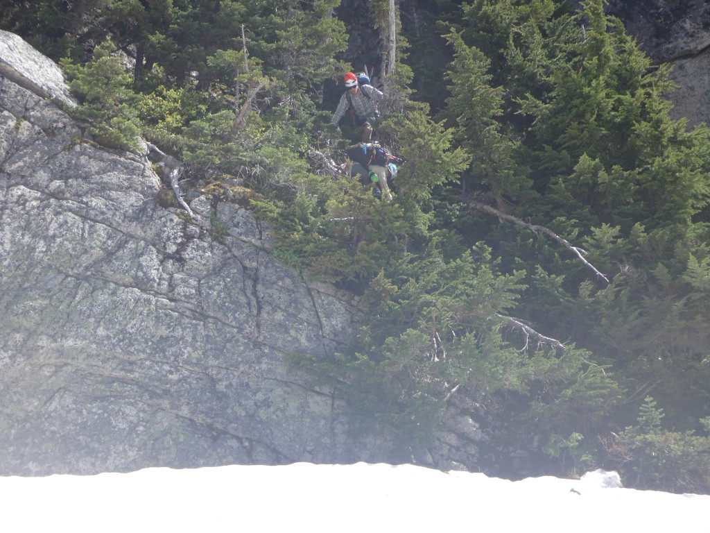 One of many bush rappels down cliffs.