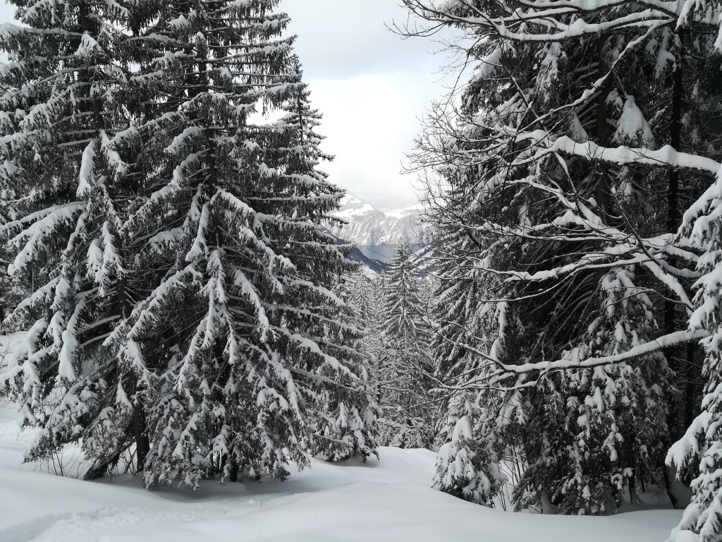 A short moment of nice weather