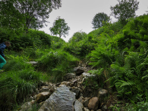 Up "The Pap" of Glencoe