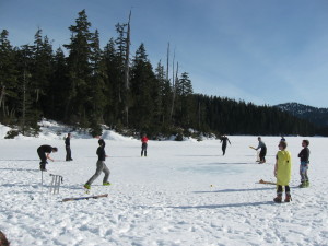 The friendly cricket match