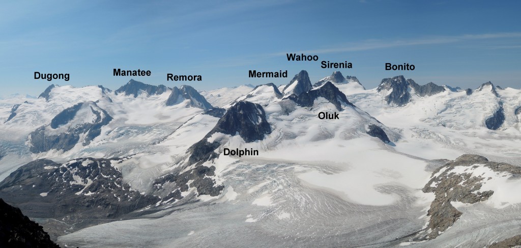 The Manatee group as seen from Obelia.  The snowfield in front of Oluk was the site of the previous day's accident.