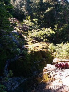 Pack by Creek on Lovely Water Trail