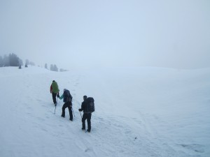 The sunny skies were soon replaced by more fog and thick fat snowflakes