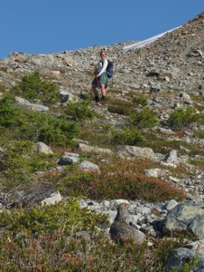 Isabel looks down at a grouse hen