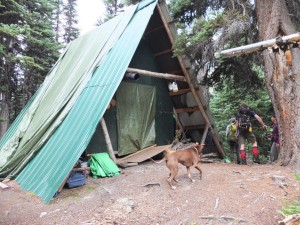 The discovery of yet another cabin