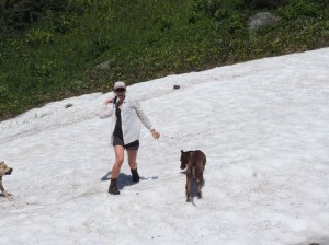 Robin and the dogs enthusiastically engage in a snowball fight at our first snowpatch