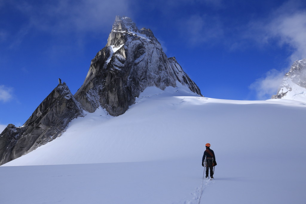 Matt Kennedy climbing Pigeon Spire in the Bugaboos. -Tobias Klenze 