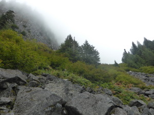 The boulder field that never ends.