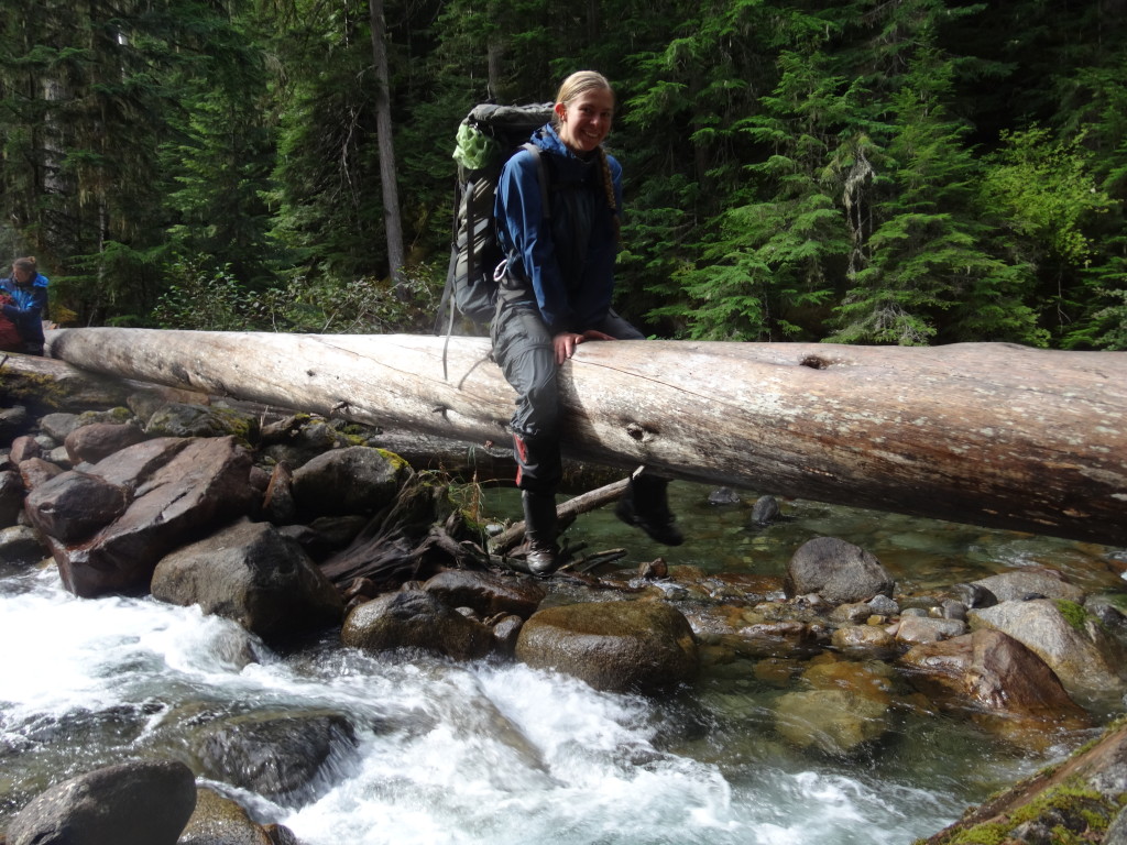 One-log bridge