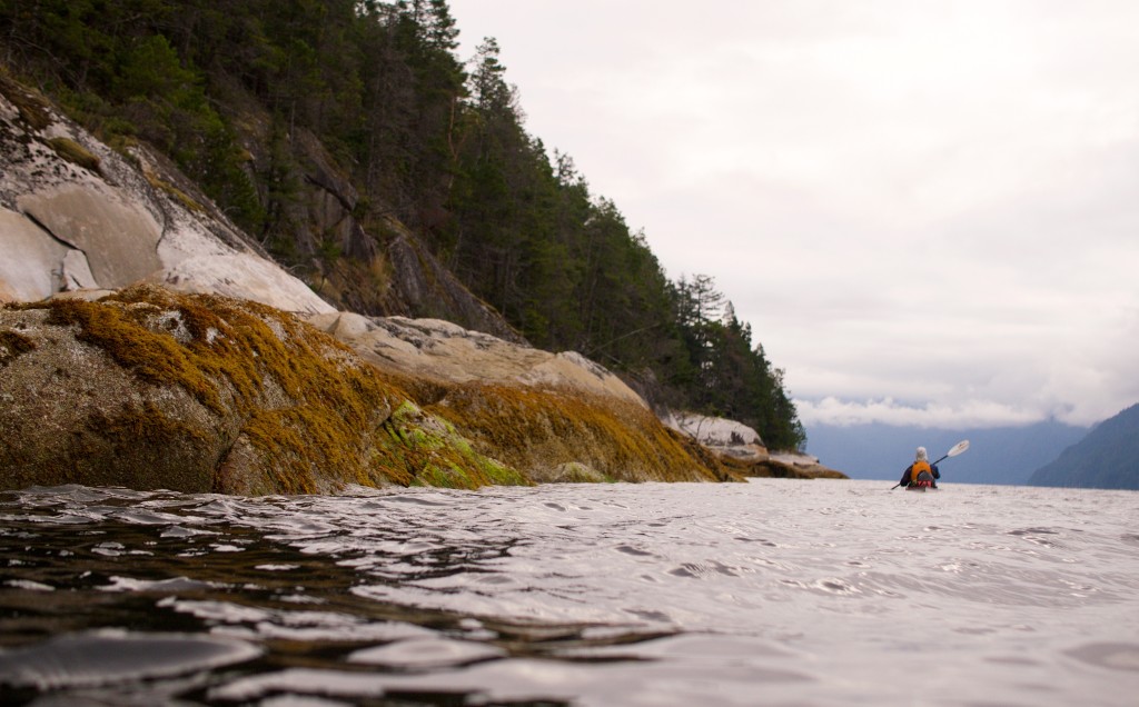 Spencer paddling Jervis Inlet in Princess Royal Reach (Photo: S. Higgs)