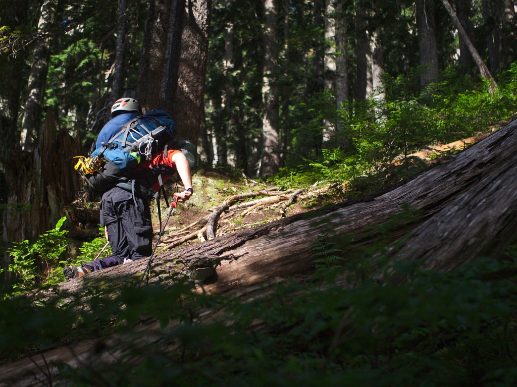 Stuart thanking the bears for their incredible trail (Photo: S. Rasmussen)