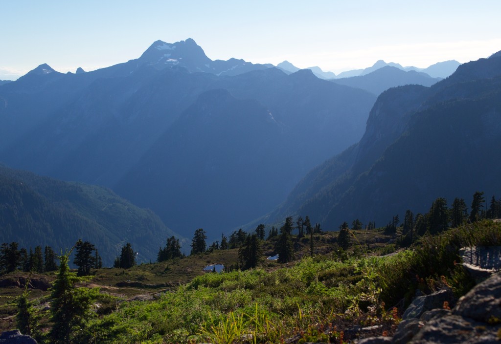 East face of Mt Baldy from Mt Alfred (Photo: S. Higgs)