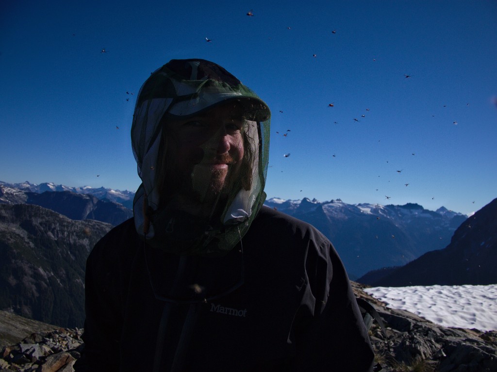 Stuart and insect friends in the alpine on Mt Alfred (Photo: S. Rasmussen)