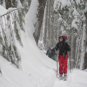 Swantje carefully making her way through the falling tree path.