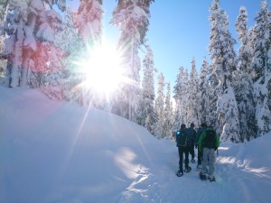 Hiking up, below the treeline