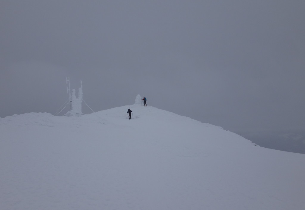 The summit of the Nipple with the radio tower. PC: Birgit Rogalla.
