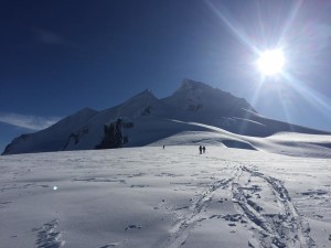 Mount Garibaldi - Lianne M