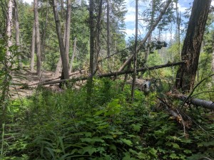 Mudslide 2