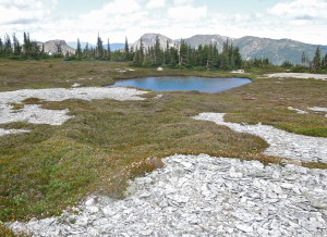 The nicest tarn -Kay