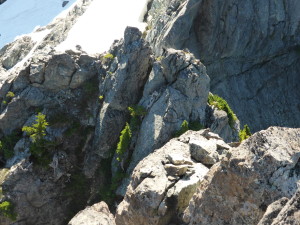 East traverse descent, maybe. standing above the chimney.