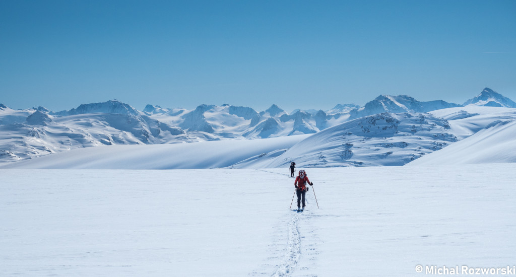 On the vast expanse of the Bridge Glacier. Photo: Michal Rosworski