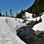 IMG_4289 (2)