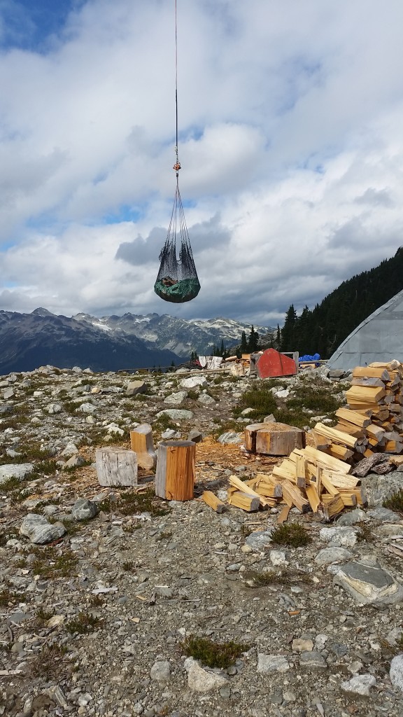 The second load of firewood in the tarp and cargo net. 