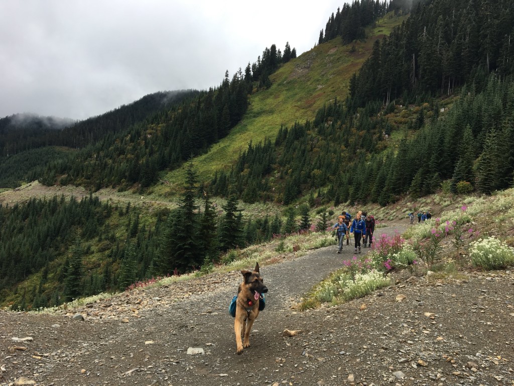 Stella leads the pack! - Karolina Skupien