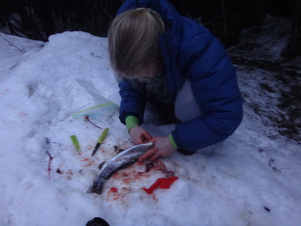 Gutting a fish --- a gruesome spectacle.