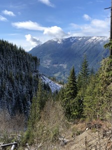 Beautiful view (looking northward) from side of valley as I approach Borden Creek from the east. 