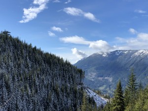 Beautiful view (looking northward) from side of valley as I approach Borden Creek from the east. 