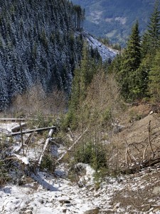 Side of valley decimated by high waters or some other force. Cirque-like feature?