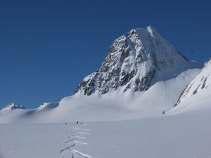 Weart Glacier with Lesser Wedge in background