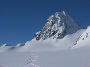 Weart Glacier with Lesser Wedge in background